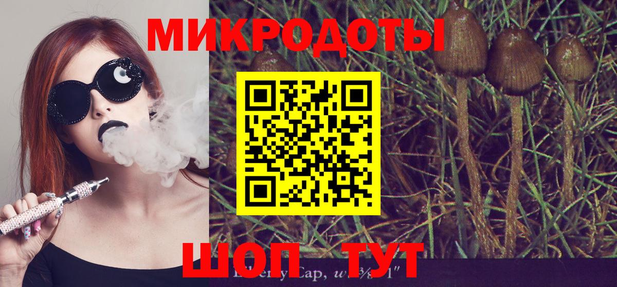 Псилоцибиновые грибы Симферополь