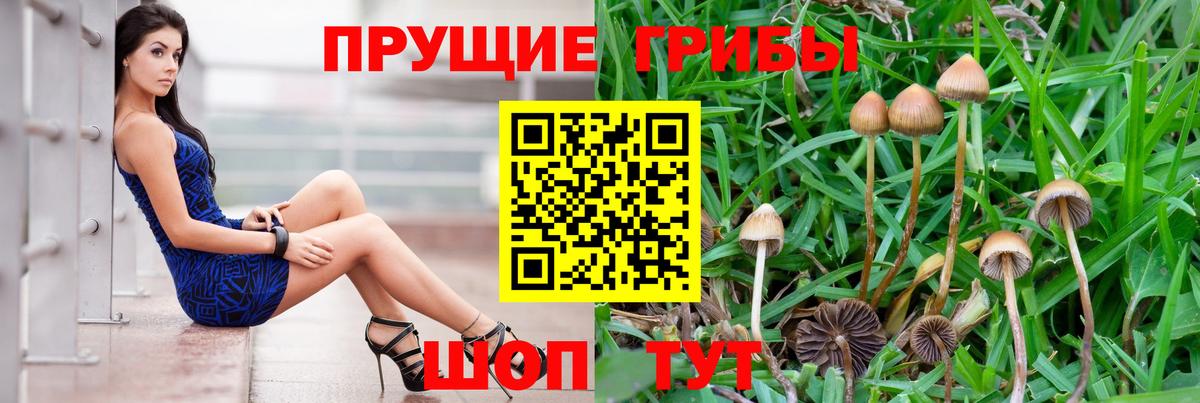 Псилоцибиновые грибы MAGIC MUSHROOMS Симферополь